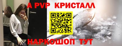 стаф Гатчина