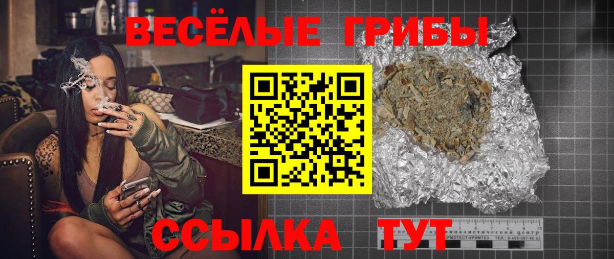 Псилоцибиновые грибы Cubensis  Вход с VPN  Бердск 