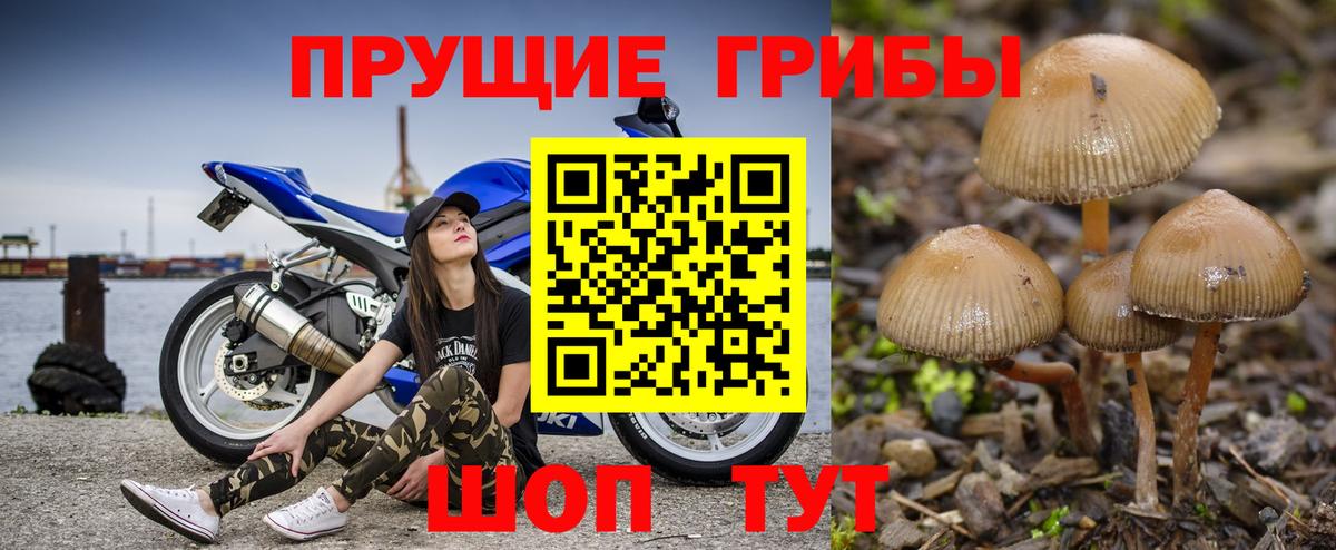 Галлюциногенные грибы MAGIC MUSHROOMS Бердск